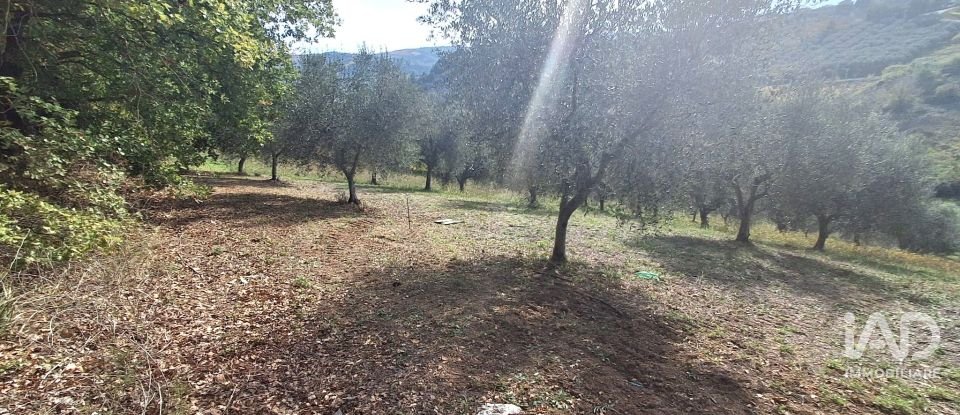 Terreno di 1.810 m² in Francavilla al Mare (66023)