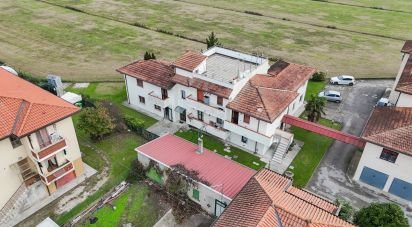 Trilocale di 66 m² a Corbola (45015)