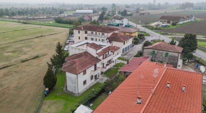 Trilocale di 66 m² a Corbola (45015)