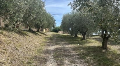 Rustico 7 locali di 432 m² in Potenza Picena (62018)