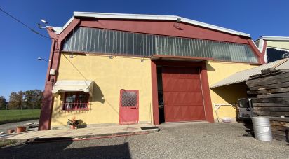 Capannone di 5.000 m² in Leinì (10040)