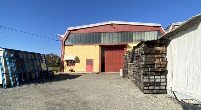 Capannone di 5.000 m² in Leinì (10040)