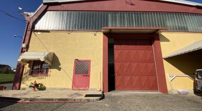 Capannone di 5.000 m² in Leinì (10040)