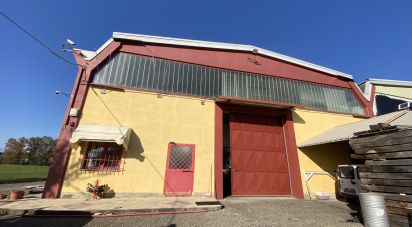 Capannone di 5.000 m² in Leinì (10040)