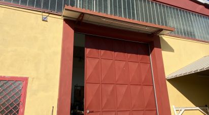 Capannone di 5.000 m² in Leinì (10040)