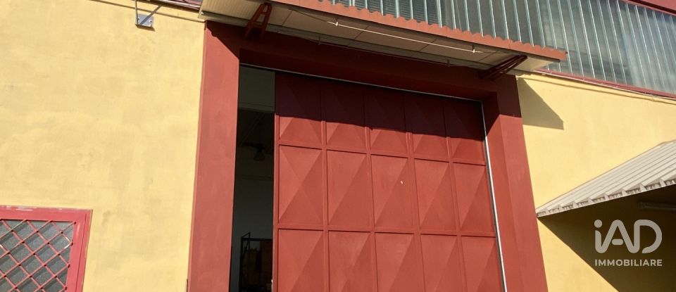 Capannone di 5.000 m² in Leinì (10040)