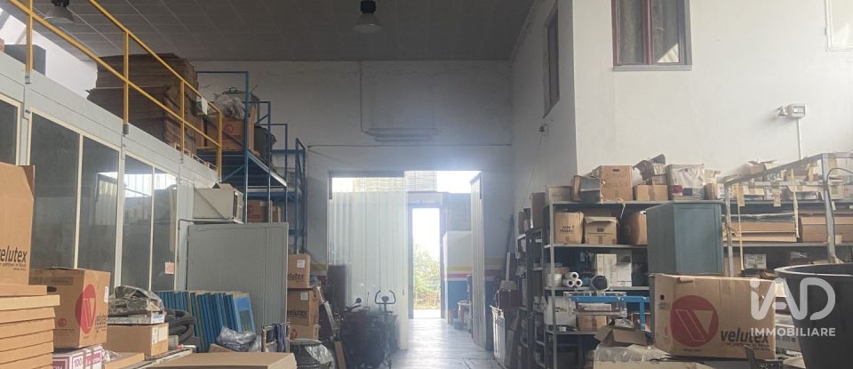Capannone di 5.000 m² in Leinì (10040)
