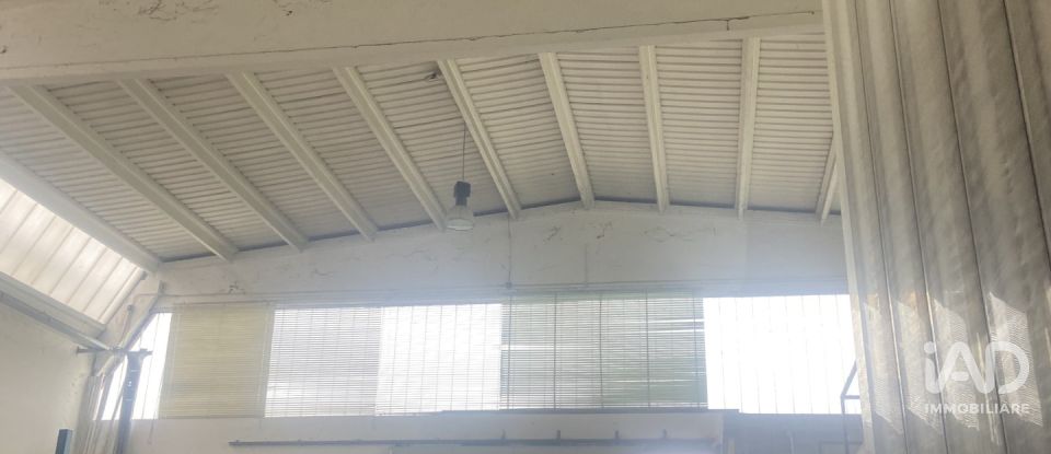 Capannone di 5.000 m² in Leinì (10040)