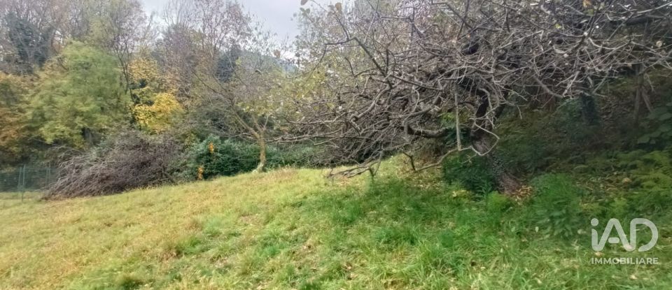 Appartamento 7 locali di 200 m² a Lanzo Torinese (10074)