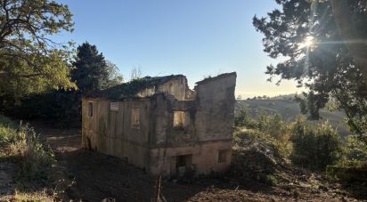 Casa indipendente / Villa 0 locali di 130 m² in Montecosaro (62010)