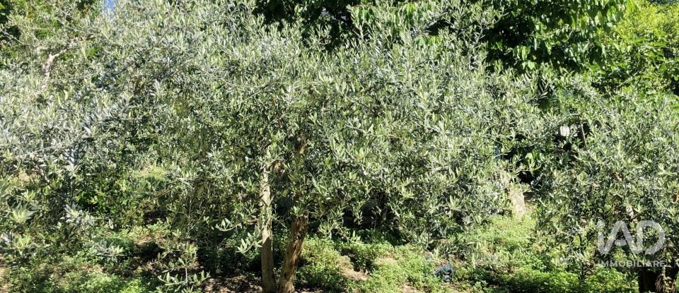 Casa indipendente / Villa 10 locali di 300 m² in Mombaroccio (61024)