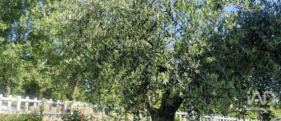 Casa indipendente / Villa 10 locali di 300 m² in Mombaroccio (61024)