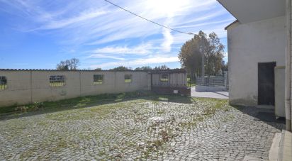 Capannone di 580 m² in San Carlo Canavese (10070)