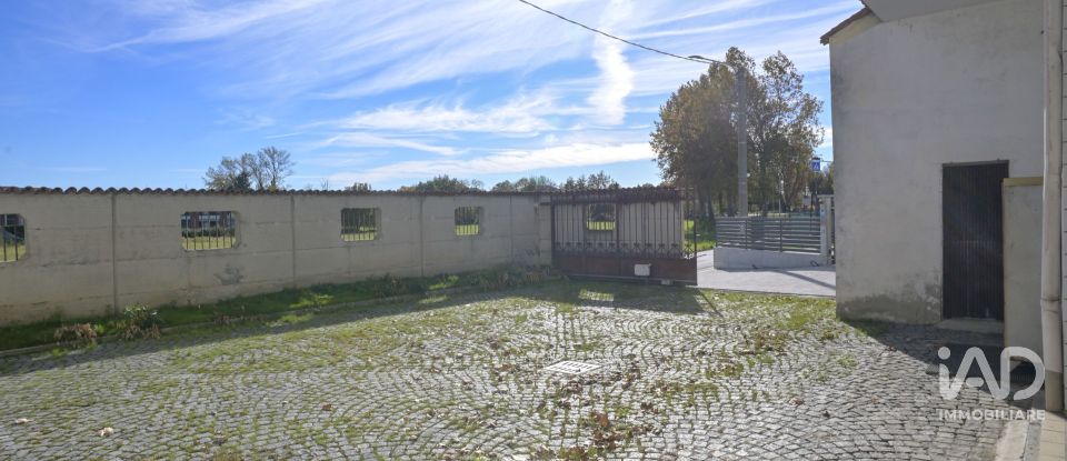Warehouse of 580 m² in San Carlo Canavese (10070)