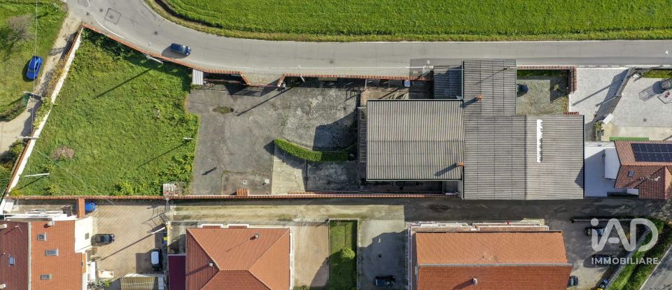 Warehouse of 580 m² in San Carlo Canavese (10070)
