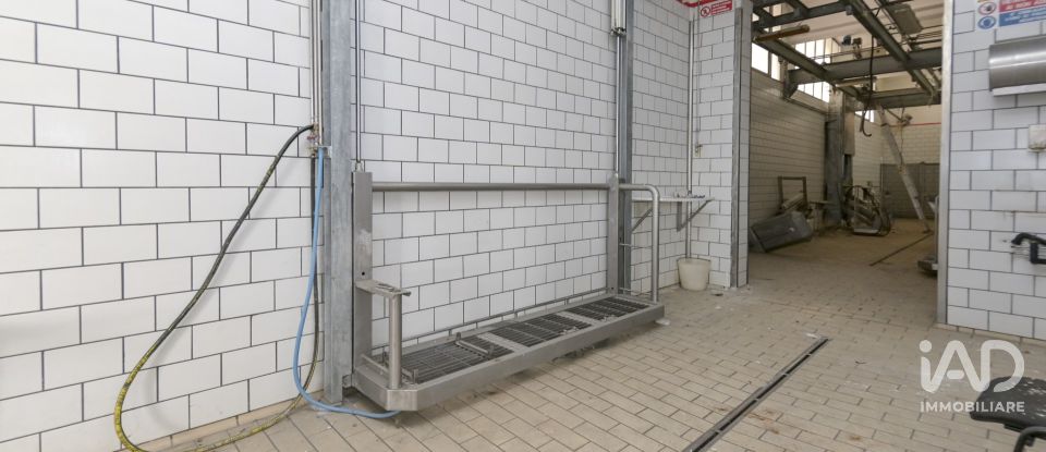 Warehouse of 580 m² in San Carlo Canavese (10070)