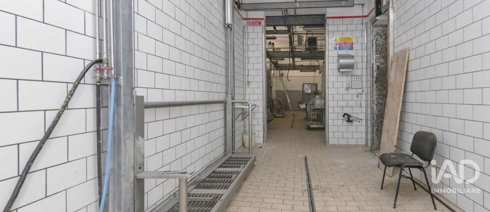 Warehouse of 580 m² in San Carlo Canavese (10070)