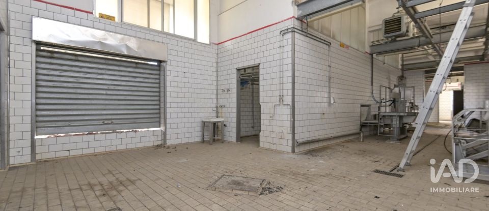 Warehouse of 580 m² in San Carlo Canavese (10070)