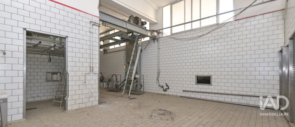 Warehouse of 580 m² in San Carlo Canavese (10070)