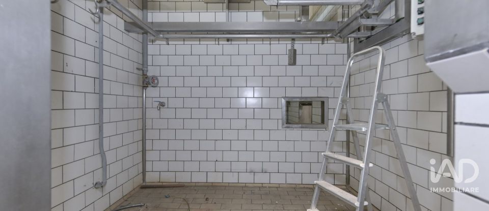 Warehouse of 580 m² in San Carlo Canavese (10070)