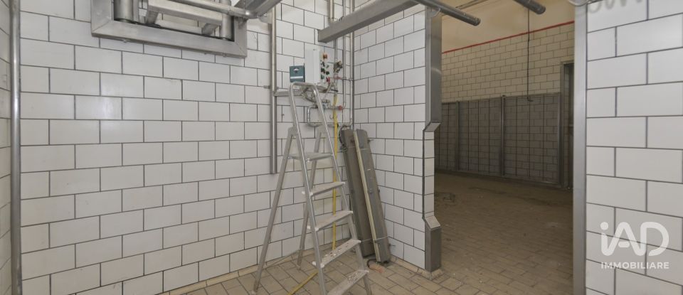 Warehouse of 580 m² in San Carlo Canavese (10070)