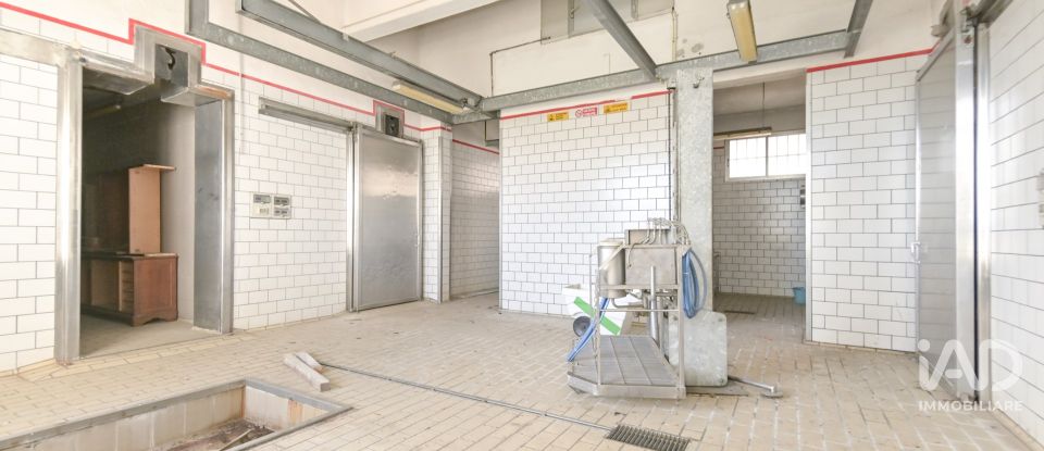 Warehouse of 580 m² in San Carlo Canavese (10070)