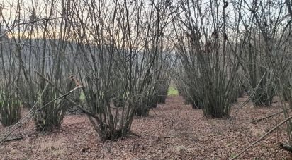 Rustico 10 locali di 500 m² in Grazzano Badoglio (14035)