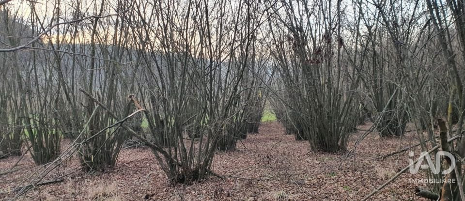 Rustico 10 locali di 500 m² in Grazzano Badoglio (14035)