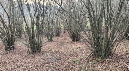 Rustico 10 locali di 500 m² in Grazzano Badoglio (14035)