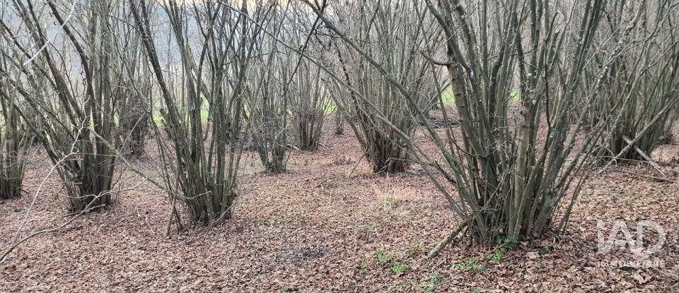 Rustico 10 locali di 500 m² in Grazzano Badoglio (14035)