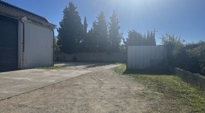 Capannone di 440 m² in Foligno (06034)