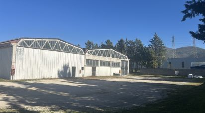 Capannone di 440 m² in Foligno (06034)