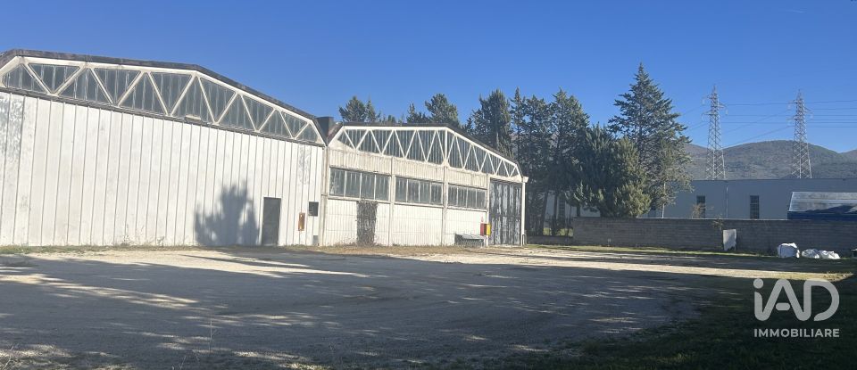 Warehouse of 440 m² in Foligno (06034)