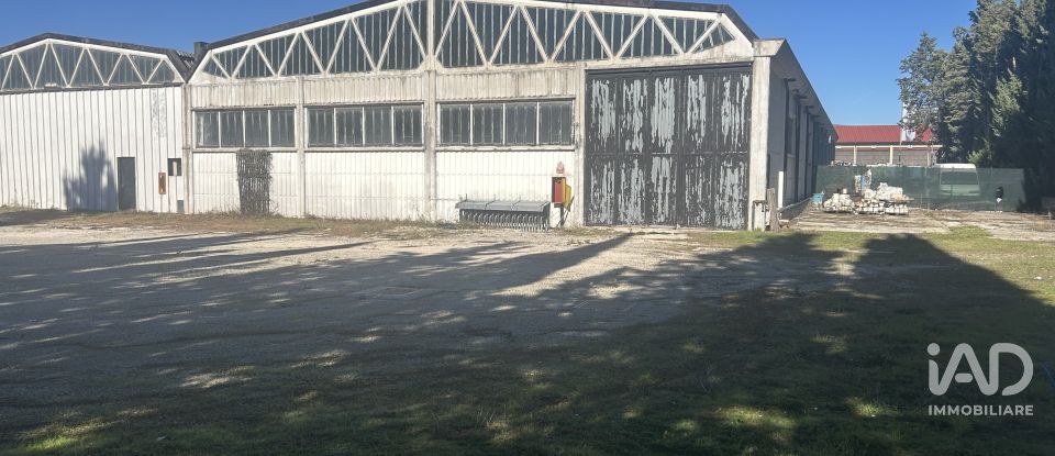 Warehouse of 440 m² in Foligno (06034)