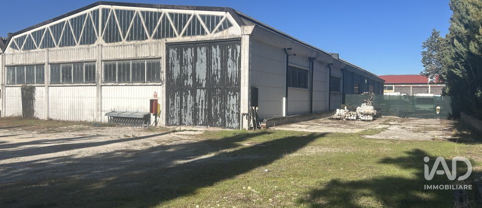 Warehouse of 440 m² in Foligno (06034)
