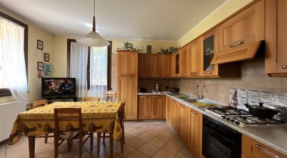 Casa indipendente / Villa 0 locali di 220 m² in San Felice sul Panaro (41038)