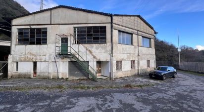 Warehouse of 4,000 m² in Ceranesi (16014)