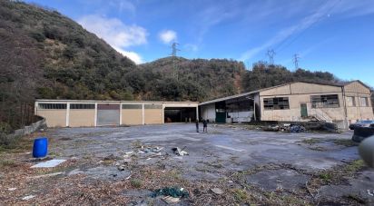 Warehouse of 4,000 m² in Ceranesi (16014)