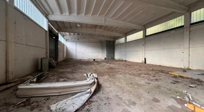 Warehouse of 4,000 m² in Ceranesi (16014)