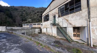 Warehouse of 4,000 m² in Ceranesi (16014)