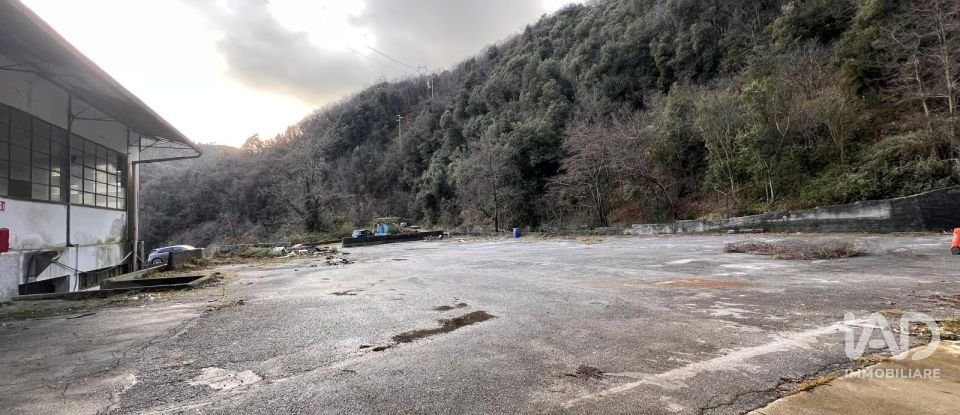 Warehouse of 4,000 m² in Ceranesi (16014)