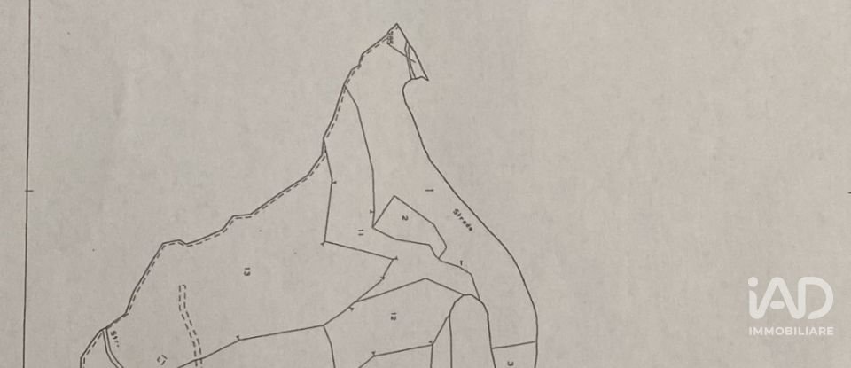 Warehouse of 4,000 m² in Ceranesi (16014)