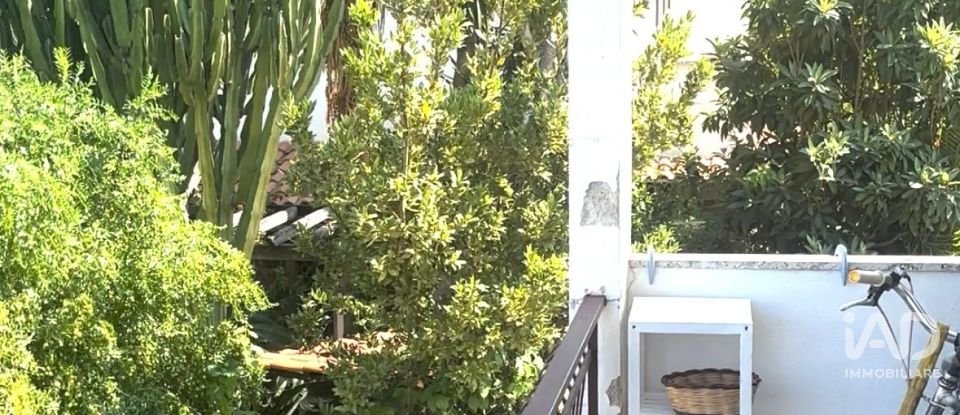 Bilocale di 35 m² a Nocera Terinese (88040)