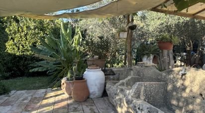 House 2 rooms of 36 m² in Trevi (06039)