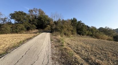 Terreno agricolo di 63.170 m² in Montecosaro (62010)
