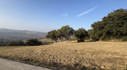 Terreno agricolo di 63.170 m² in Montecosaro (62010)