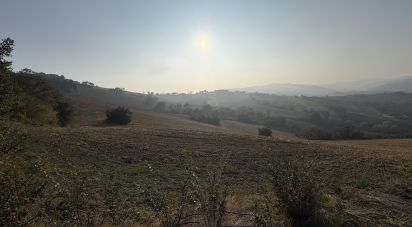 Terreno agricolo di 63.170 m² in Montecosaro (62010)