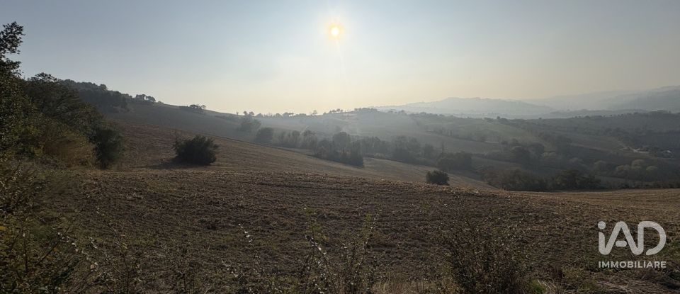 Terreno agricolo di 63.170 m² in Montecosaro (62010)