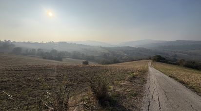 Terreno agricolo di 63.170 m² in Montecosaro (62010)
