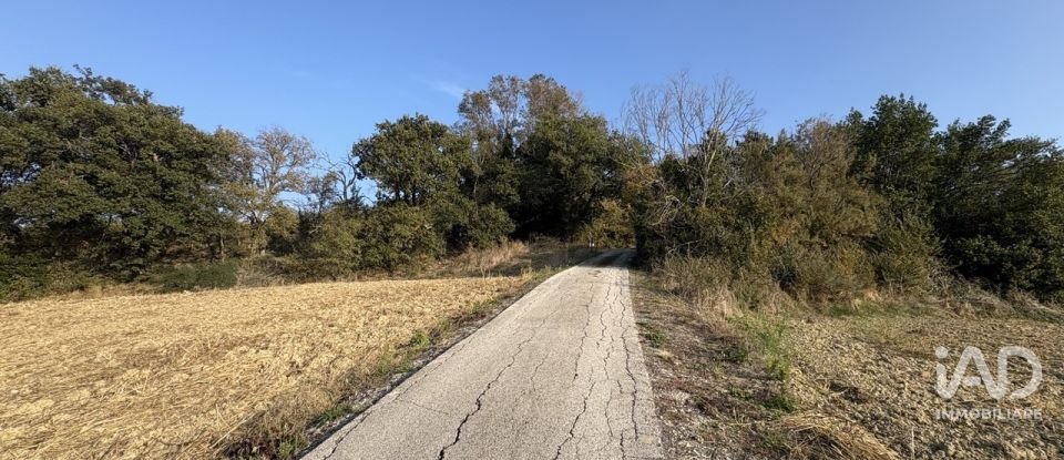 Terreno agricolo di 63.170 m² in Montecosaro (62010)